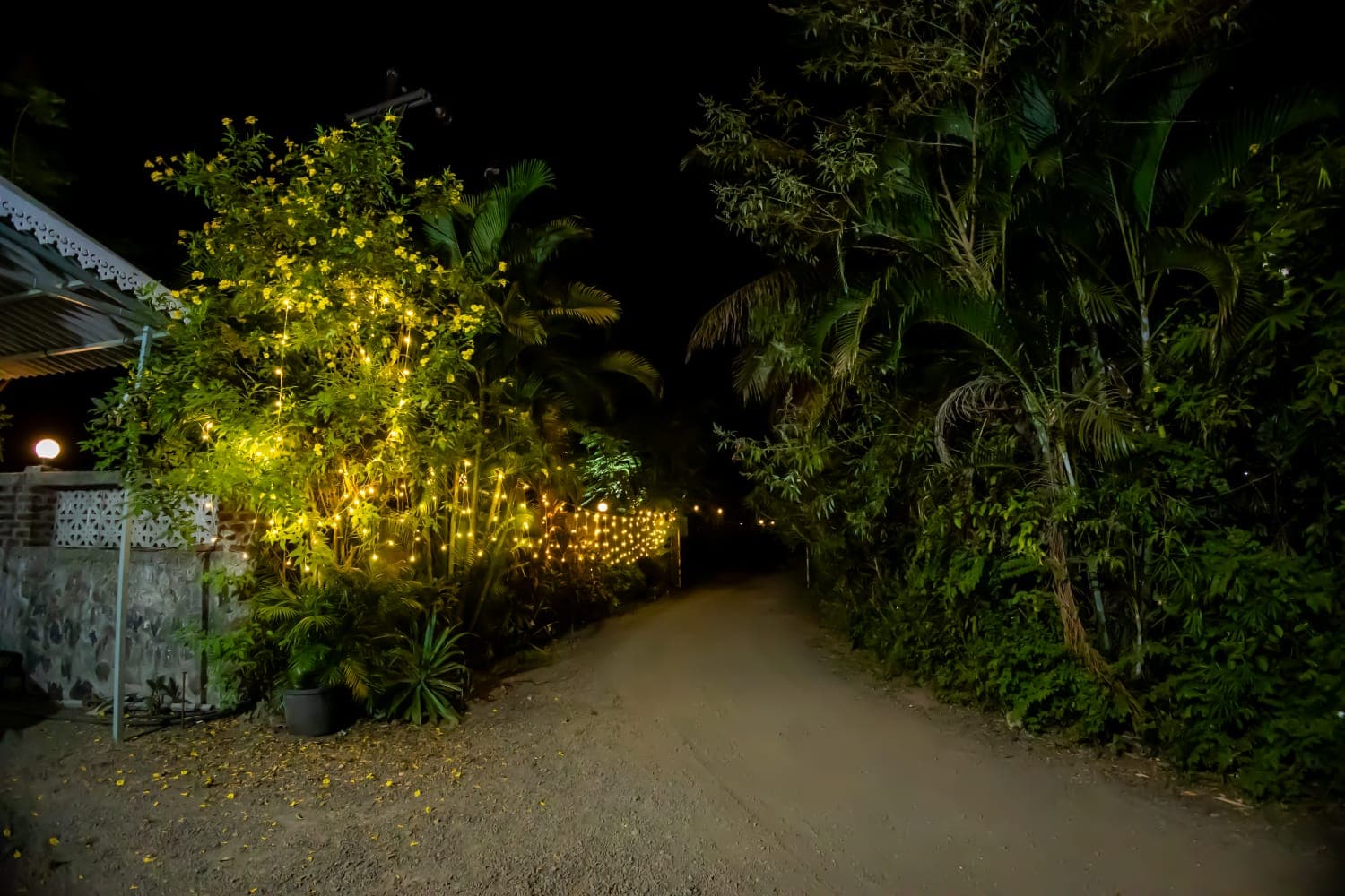 Night View